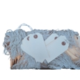 Strung Tags  120 x 60mm Size 5 White   Box of 250