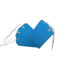 Blue Strung Tags Size 5 120mm x 60mm Box of 1000