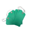 Strung Tags  120 x 60mm Size 5 Green   Box of 250