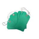 Strung Tags  120 x 60mm Size 5 Green   Box of 250