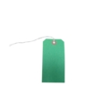 Strung Tags  120 x 60mm Size 5 Green   Box of 250