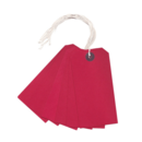 Strung Tags  120 x 60mm Size 5 Red   Box of 250